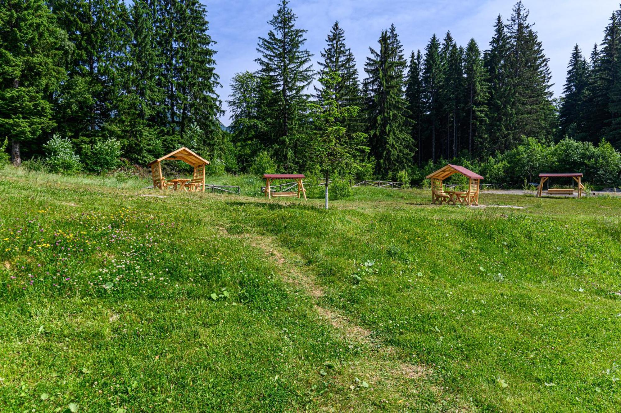 Apartment "Mountain Relax" Poiana Brasov Eksteriør bilde